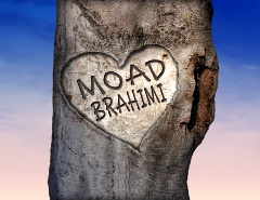 drac_moad